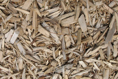 biomass boilers Lapal